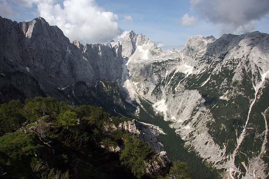 T 06.JPG